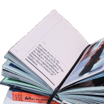 Writing & Translation